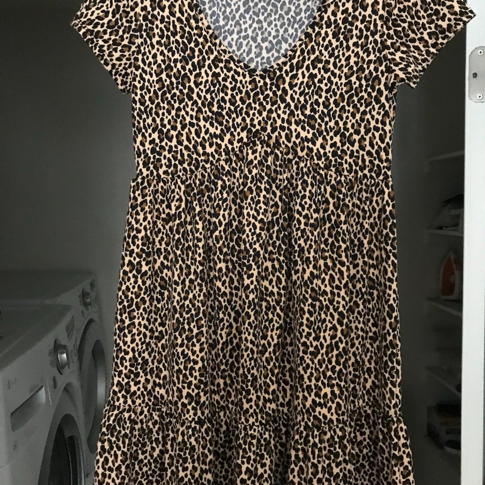 Francesca's Mini Dress